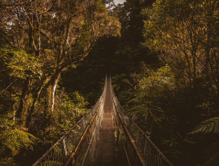 Discover serenity on a suspension bridge amidst the lush greenery of Upper Hutt, New Zealand.